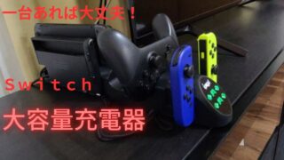 switch,大容量,充電器